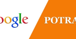 Google Asked, and Potratz Said Yes!